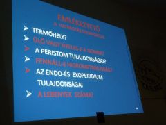 A határozás szempontjai, összefoglalva